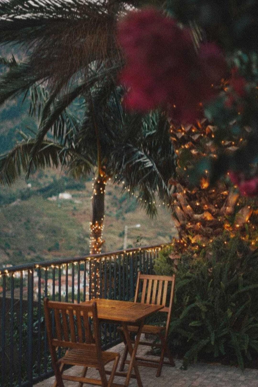 Gardens Guest House São Vicente المظهر الخارجي الصورة